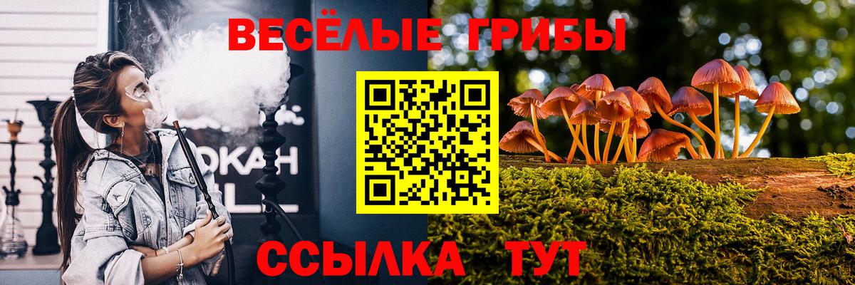 Псилоцибиновые грибы MAGIC MUSHROOMS Урюпинск