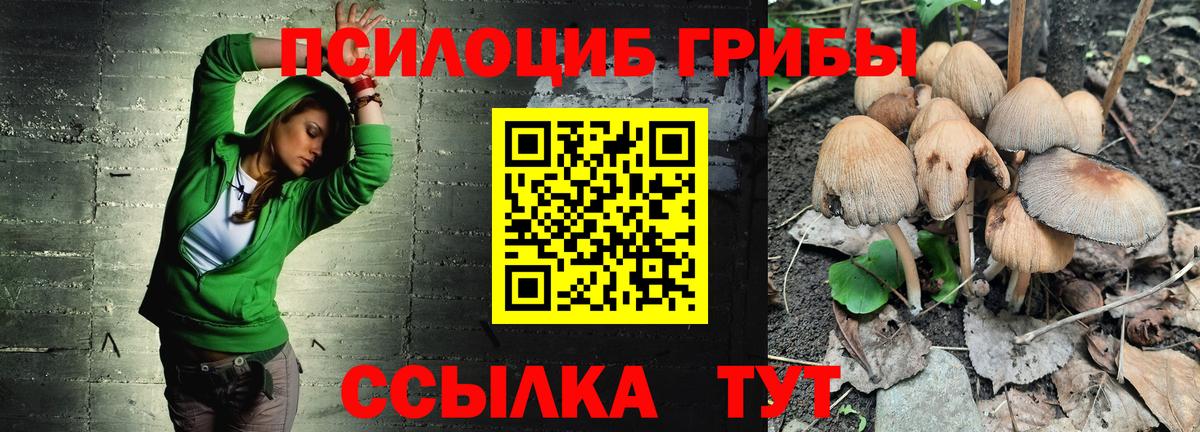 Псилоцибиновые грибы ЛСД  Псилоцибиновые грибы Psilocybe  Вход с VPN  Урюпинск 